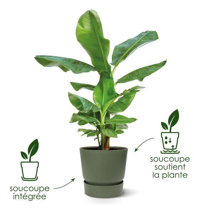 greenville rond 18cm living noir